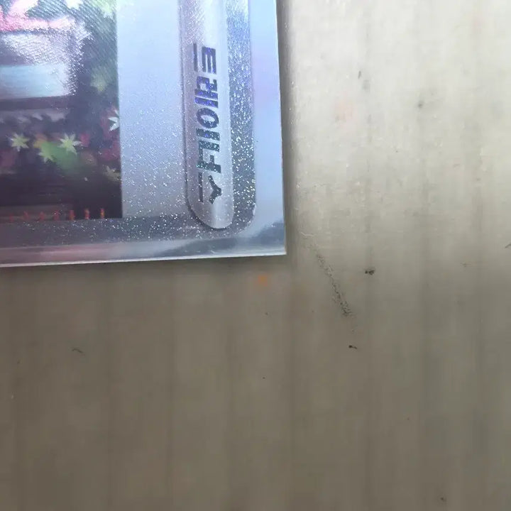 [BUNJANG] Pokemon Card Chili SAR / 포켓몬카드 칠리 sar 포켓몬카드