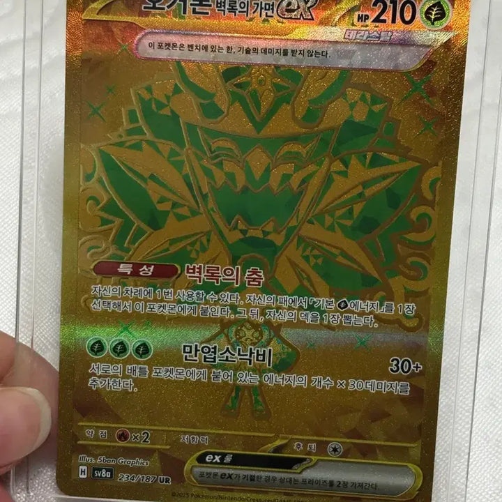 [BUNJANG] Pokemon Card Ogerpon Teal Mask EX UR 234/187 / 포켓몬카드 오거폰 벽록의 가면 EX UR 234/187