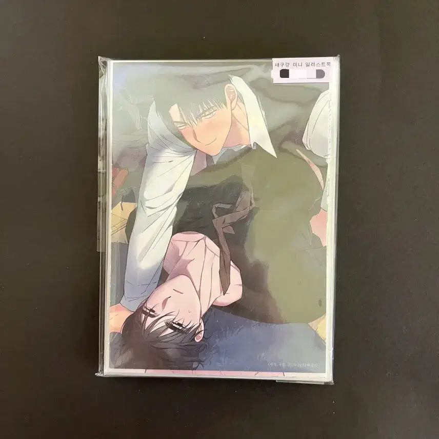 [BUNJANG] Jaeimi Shop Dawn Cloud Kang Sae Gu Kang Hyo Un Tae Hyuk Mini Illustration Book Postcard / 재이미샵 새벽구름강 새구강 효운 태혁 미니 일러스트북 굿즈 엽서