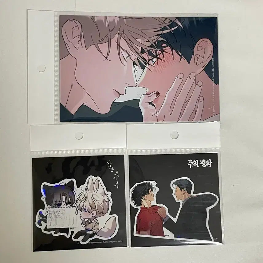 [BUNJANG] Le Salon De Bon Reborn Print Photo Sticker Bundle Set / 살롱드르봉 레봄 온리 인화사진 스티커 일괄
