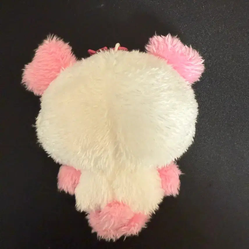 [BUNJANG] NCT WISH Yuta Wish Doll / 엔시티 위시 팡이 위시돌 사쿠야