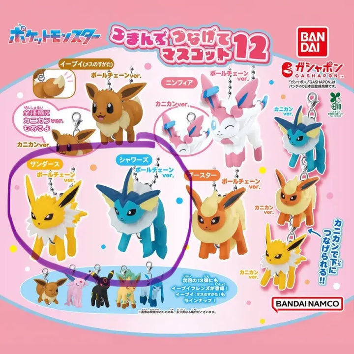 [BUNJANG] Pokemon Connected Mascot Gacha Vol. 13 Eevee Bundle Set / 포켓몬 연결 마스코트 가챠 13탄 이브이 대롱대롱 주렁주렁 쥬피썬더 샤미드 일괄