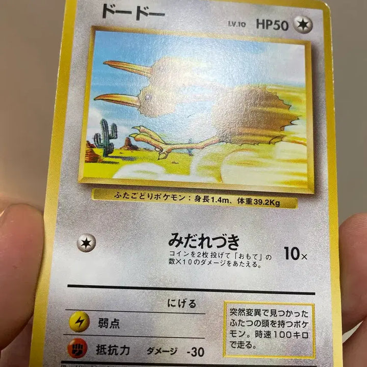 [BUNJANG] 1996 Japanese "Dudu" Old Back Vintage Pokémon Card / 1996년 일판 두두 구카드 올드백 빈티지 고전카드 포켓몬카드
