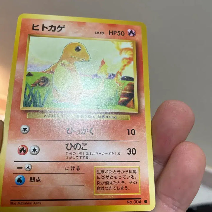 [BUNJANG] 1996 Japanese Charizard Old Back Vintage Pokémon Card / 1996년 일판 파이리 구카드 올드백 빈티지 고전카드 포켓몬카드
