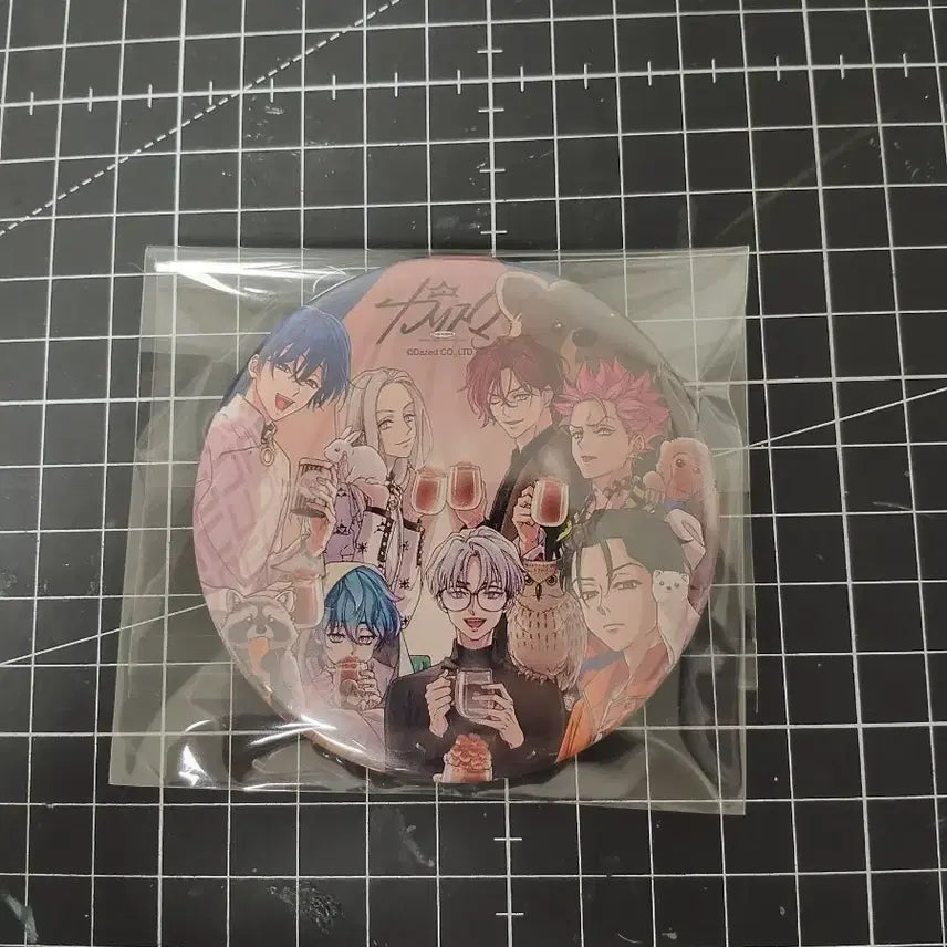 [BUNJANG] Charisma House Group Can Badge / 카리스마 하우스 단체 캔뱃지