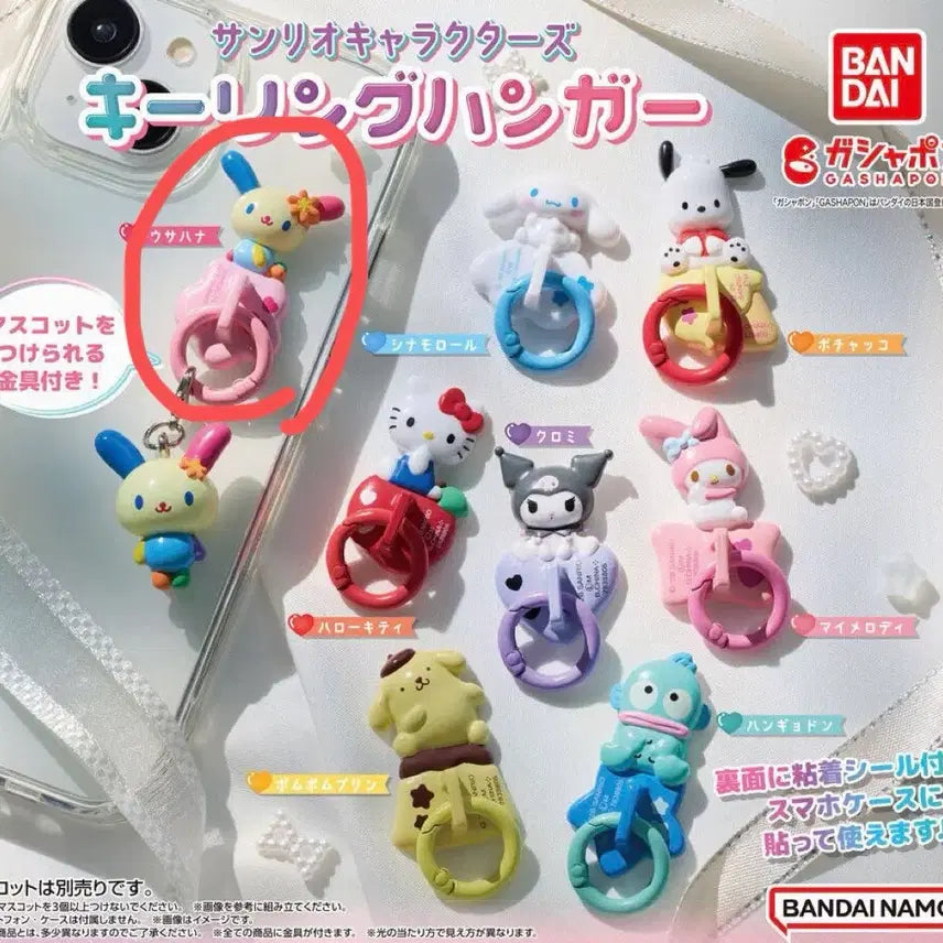 [BUNJANG] Sanrio Character Charm Hanger Set / [급처] 산리오 키링 행거 고리 가챠 우사하나