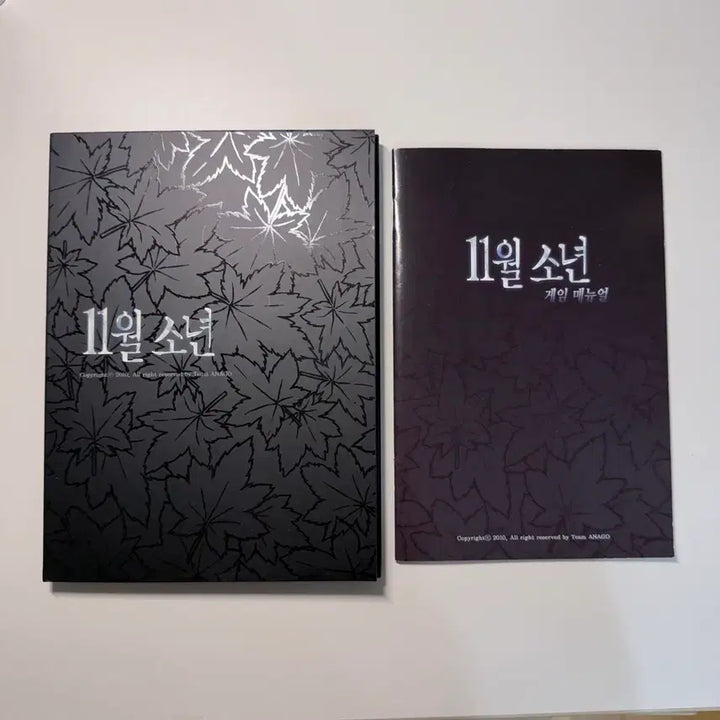 [BUNJANG] 11월 소년 (November Boy) 2010 Korean BL Mystery Adventure Game by Team Anago / 11월 소년 - 2010년 발매 한국 BL 미스터리 추리 게임 팀아나고 제작