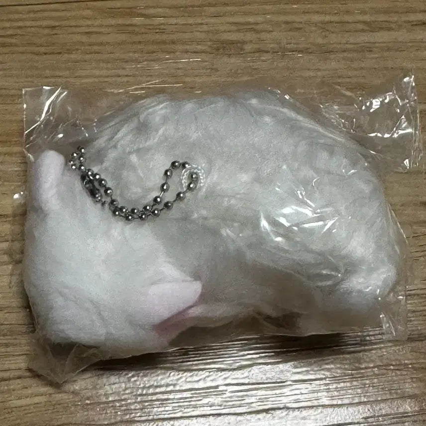 [BUNJANG] UnTamed Cat Gacha 1st Edition Beige, White / 길들여지지 않는 고양이 가챠 1탄 베이지색, 흰색