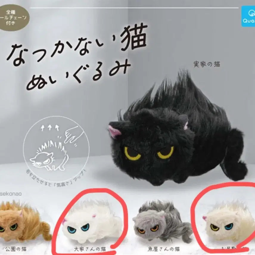 [BUNJANG] UnTamed Cat Gacha 1st Edition Beige, White / 길들여지지 않는 고양이 가챠 1탄 베이지색, 흰색