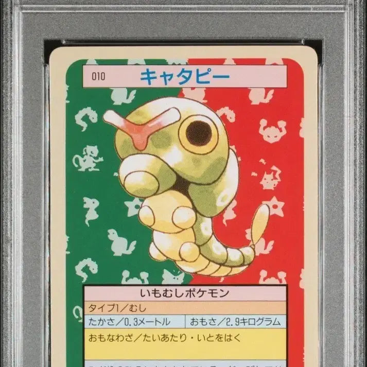 [BUNJANG] Pokemon Topsun Caterpie PSA 10 Graded Card / 1995 포켓몬스터 탑선 캐터피 PSA10