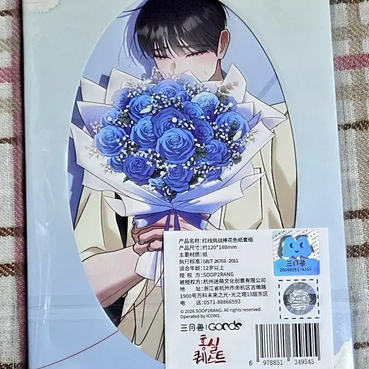 [BUNJANG] Hongsil Quest Illustrated Board Set / last one) 홍실 퀘스트 색지세트