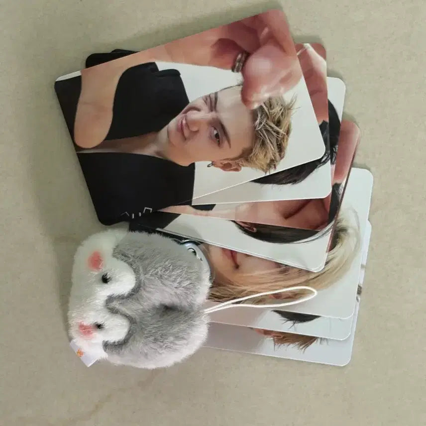 [BUNJANG] Stray Kids 8/1 Entrance Gift Photocard &amp; Pom Pom Keyring Wolf Chan (Bang Chan) / 스트레이키즈 8/1 입장기프트 포토카드&amp;폼폼키링 울프찬(방찬)