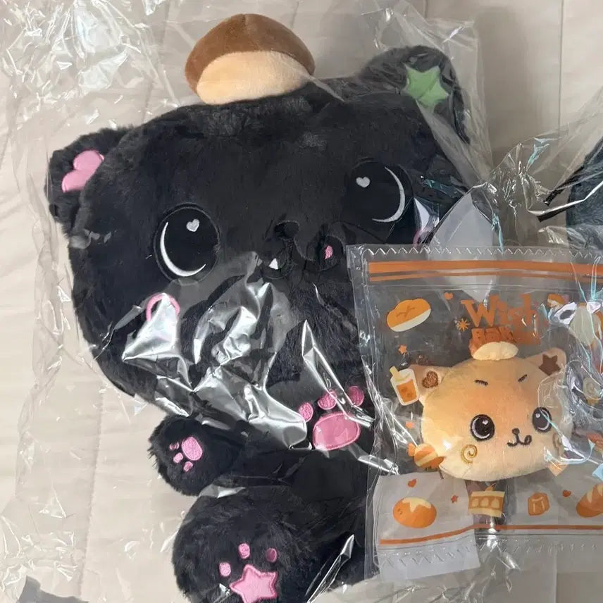 [BUNJANG] Wishdoll Kuri 30cm Doll (Sealed) / 위시돌 쿠리 30cm 미개봉