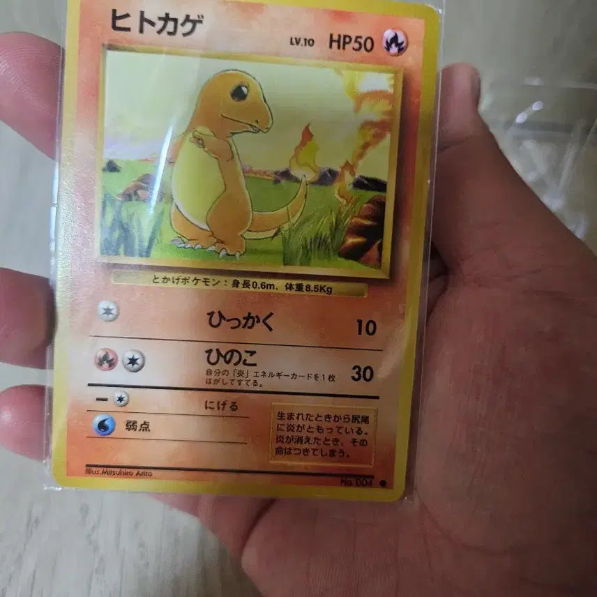 [BUNJANG] 1996 First Edition Charmander Graded Trading Card / 일판 초판파이리(배송비 포함)