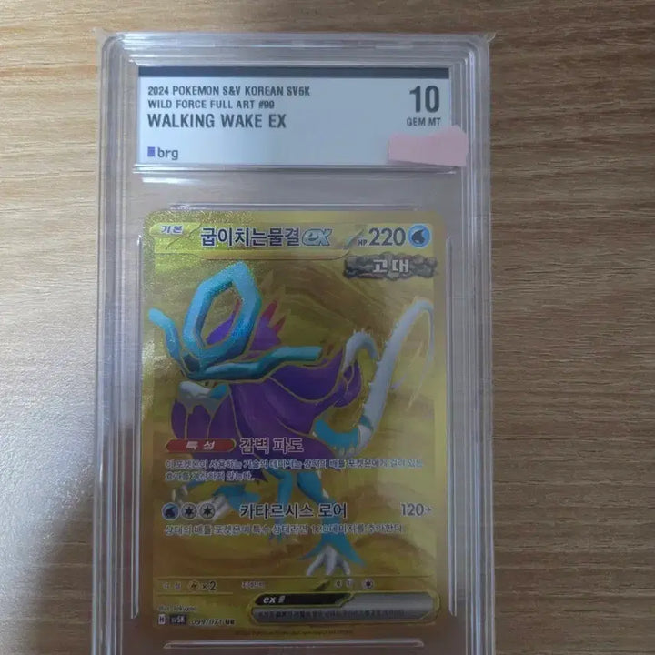 [BUNJANG] Pokemon Card "Grovyle" UR BRG 10 Graded / 포켓몬카드판매합니다(굽이치는물결 UR BRG10등급)