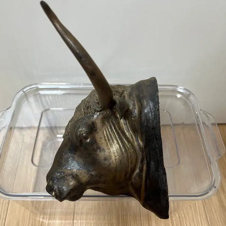[BUNJANG] Ox Head Ornament / 소머리 장식품