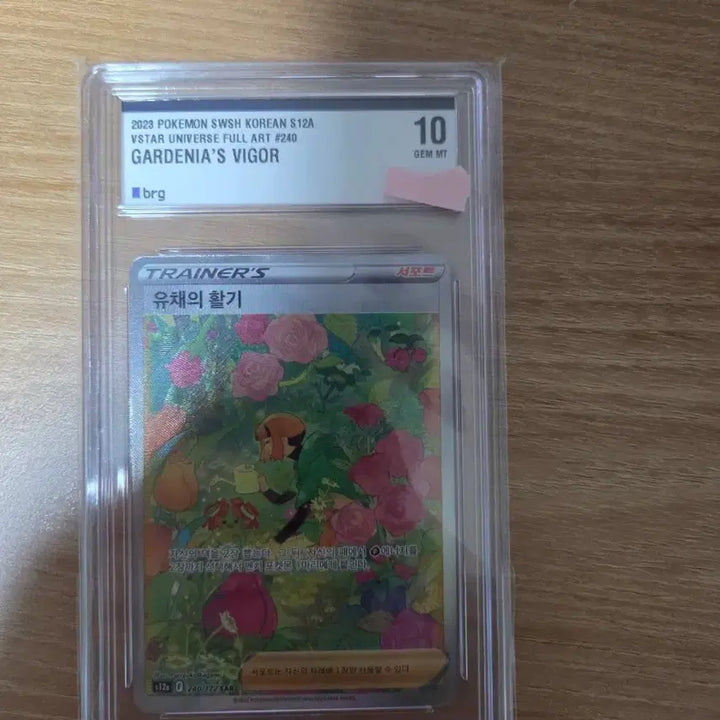 [BUNJANG] Pokemon Card Vivid Voltage Radiant Tsareena SAR - CGC 10 Gem Mint / 포켓몬카드판매합니다(유채의활기 SAR BRG10등급)