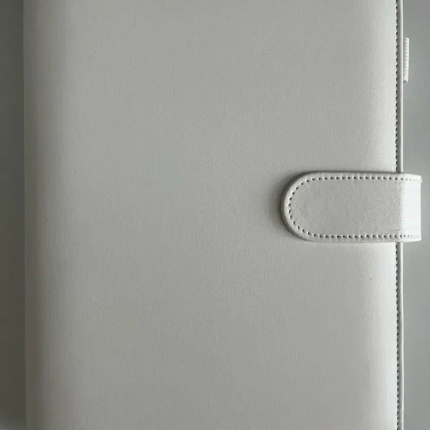 [BUNJANG] A5 Macaron Binder with Inner Sleeves / 급처))a5 마카롱 바인더 팔아요