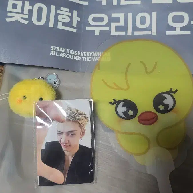 [BUNJANG] Stray Kids SKZOO BbockAri Keyring, Fan, Photocard Set / 8/1 스키즈 막첫 입장기프트 팔아요 뽁아리 키링 부채 4일차 포카