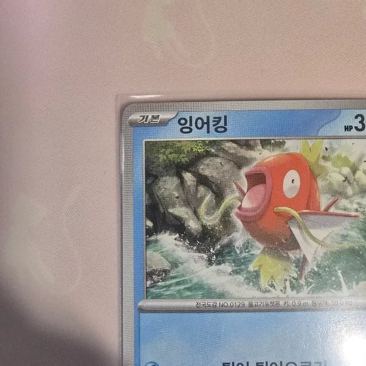 [BUNJANG] Pokemon Card Magikarp 129/165 Korean Edition / 포켓몬카드 잉어킹 129/165 한글판