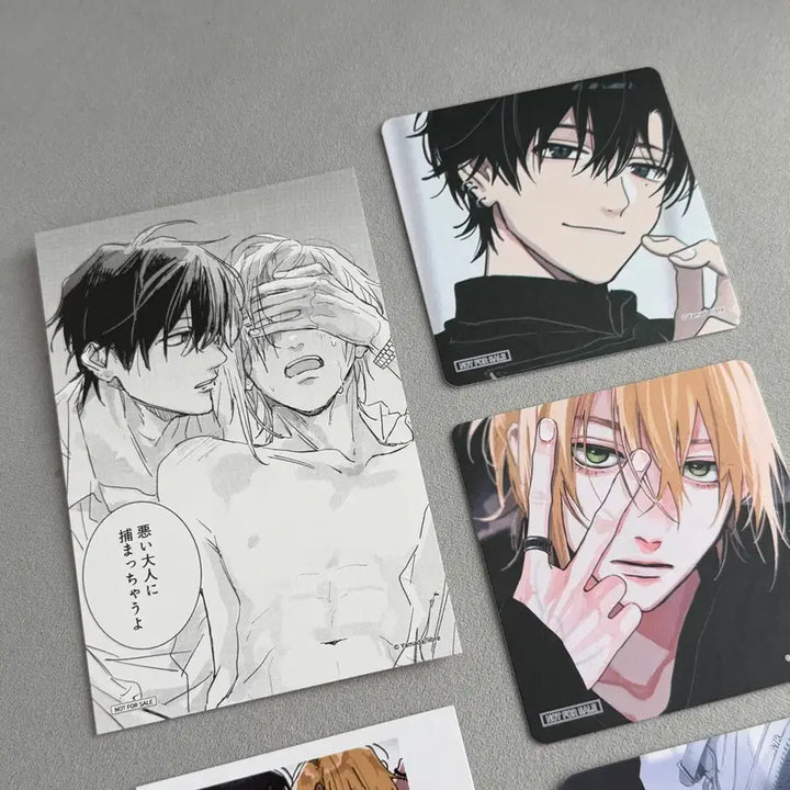 [BUNJANG] Tunick Tashiro Neranyeoseogeun Cafe May Sega Bundle Set Photocard / 투니크 타시로 너란 녀석은 카페 메이 세가 특전 카드 일괄