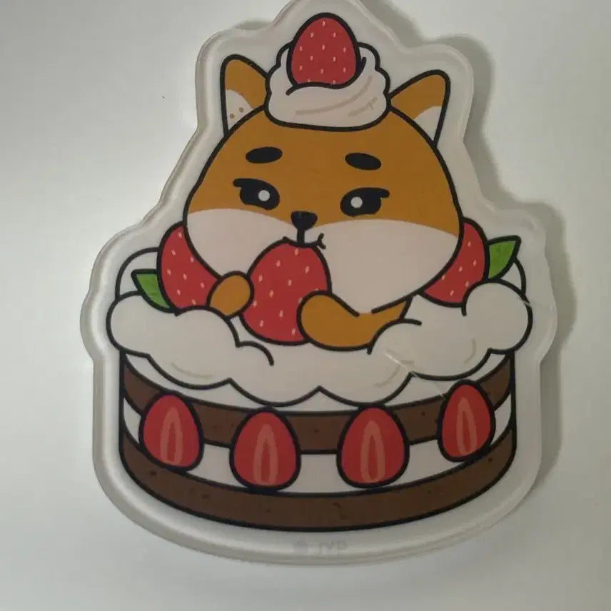 [BUNJANG] Day6 Daejeon Concert Magnet Strawberry Cake / 데이식스 대전콘 마그넷 딸기케 딸기시루케