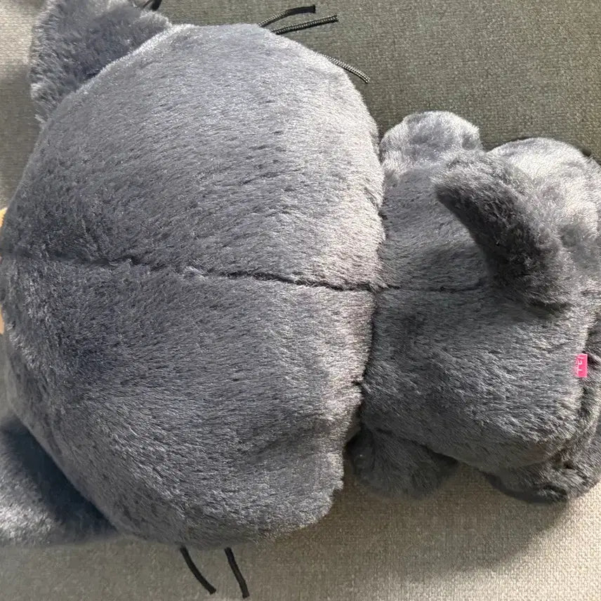 [BUNJANG] NCT WISH Riku Kuri 30cm Doll / 엔시티위시 리쿠 인형 쿠리 30cm 위시돌