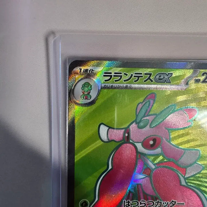 [BUNJANG] Pokemon Card Lilligant ex SR 094/081 Japanese Version / 포켓몬카드 라란티스 ex SR 094/081 일본판