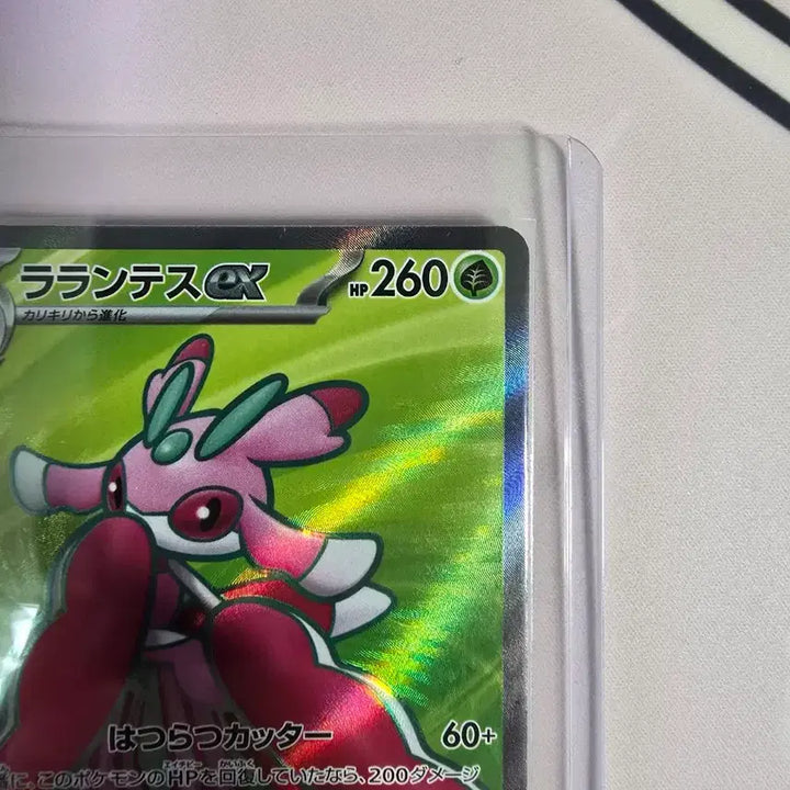 [BUNJANG] Pokemon Card Lilligant ex SR 094/081 Japanese Version / 포켓몬카드 라란티스 ex SR 094/081 일본판