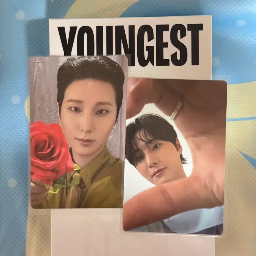 [BUNJANG] DAY6 Young K Youngest Wallet Full Set Photocard / (포카O)영케이 영기스트 지갑 풀구성 양도