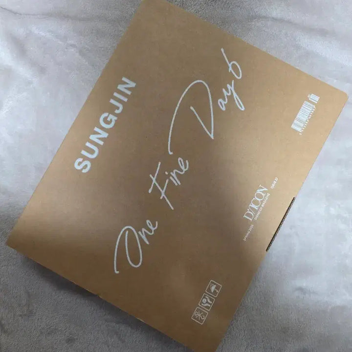 [BUNJANG] DAY6 Sungjin Dicon A Type One Day Photocard / 디아이콘 데이식스 성진 a타입 원파인데이