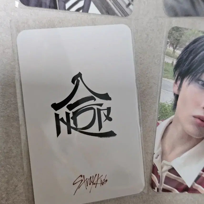 [BUNJANG] Stray Kids - 5-STAR Lucky Draw Photocard Set (8 Types) / 스트레이키즈 hop 특전포카 8종세트 뮤직코리아