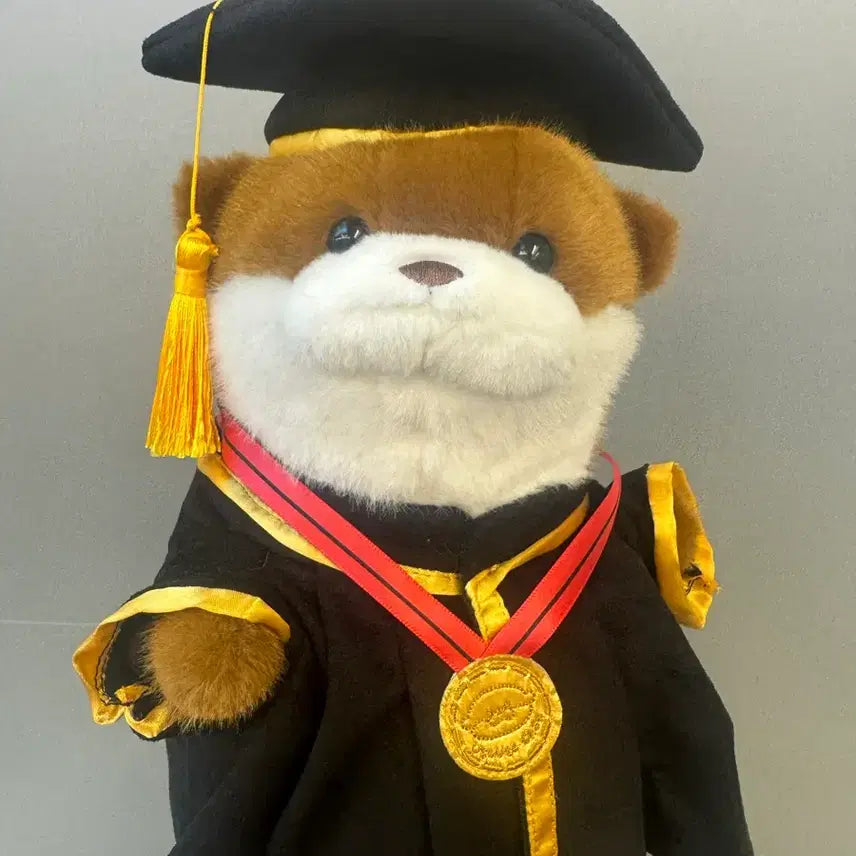 [BUNJANG] Graduation Cap Graduation Bear Doll / 졸업 축하 우소우소짱 학사모 인형