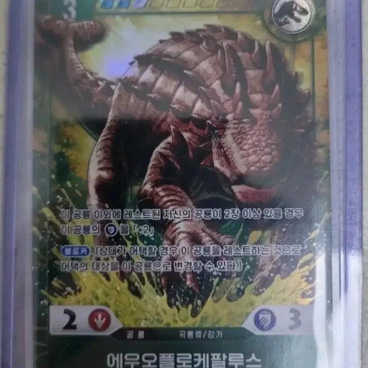 [BUNJANG] Jurassic World Card Bundle / 일괄 쥬라기월드 카드 팝니다