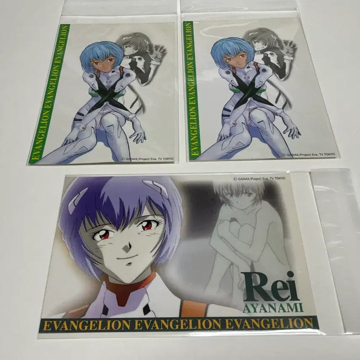 [BUNJANG] Evangelion Rei Ayanami Classic Postcard / 에반게리온 레이 고전엽서 장 당