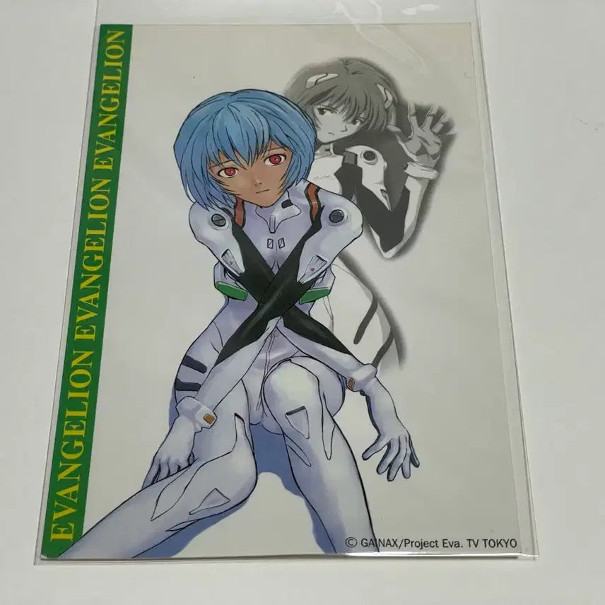 [BUNJANG] Evangelion Rei Ayanami Classic Postcard / 에반게리온 레이 고전엽서 장 당