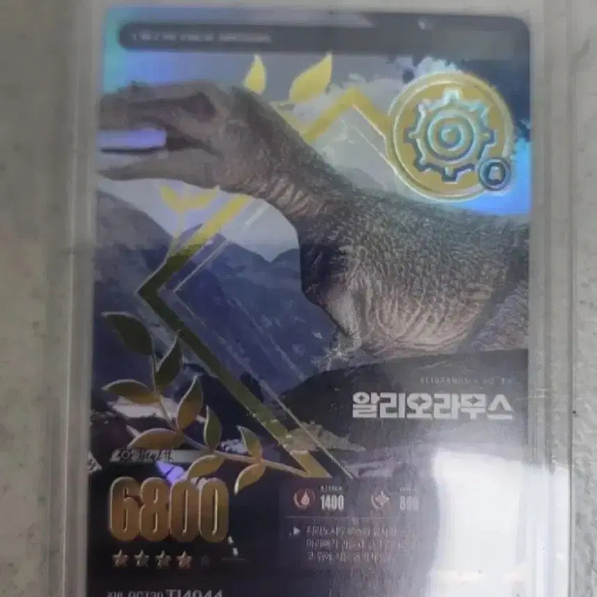[BUNJANG] Aliora Mus Dinosaur Card Bundle Set / 일괄 공룡 카드 팝니다