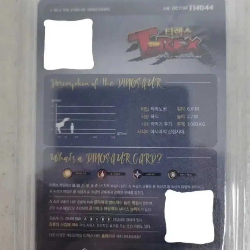 [BUNJANG] Aliora Mus Dinosaur Card Bundle Set / 일괄 공룡 카드 팝니다