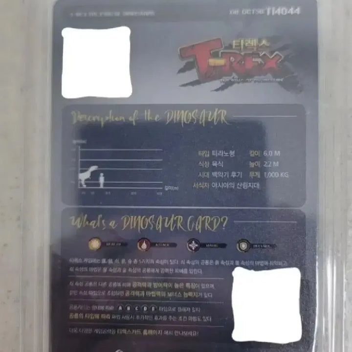 [BUNJANG] Aliora Mus Dinosaur Card Bundle Set / 일괄 공룡 카드 팝니다