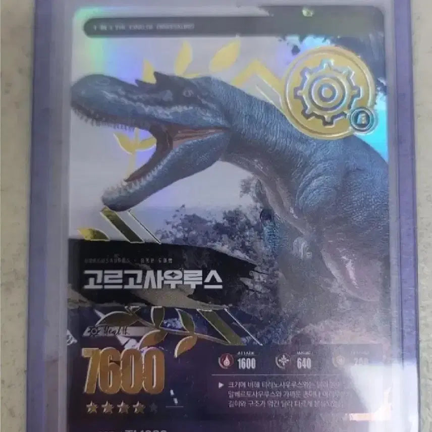 [BUNJANG] Aliora Mus Dinosaur Card Bundle Set / 일괄 공룡 카드 팝니다