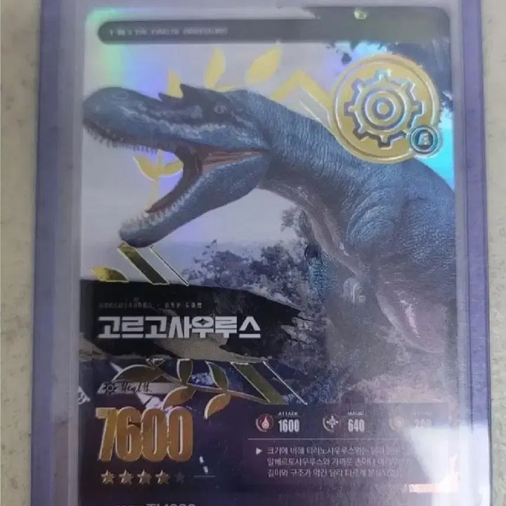 [BUNJANG] Aliora Mus Dinosaur Card Bundle Set / 일괄 공룡 카드 팝니다