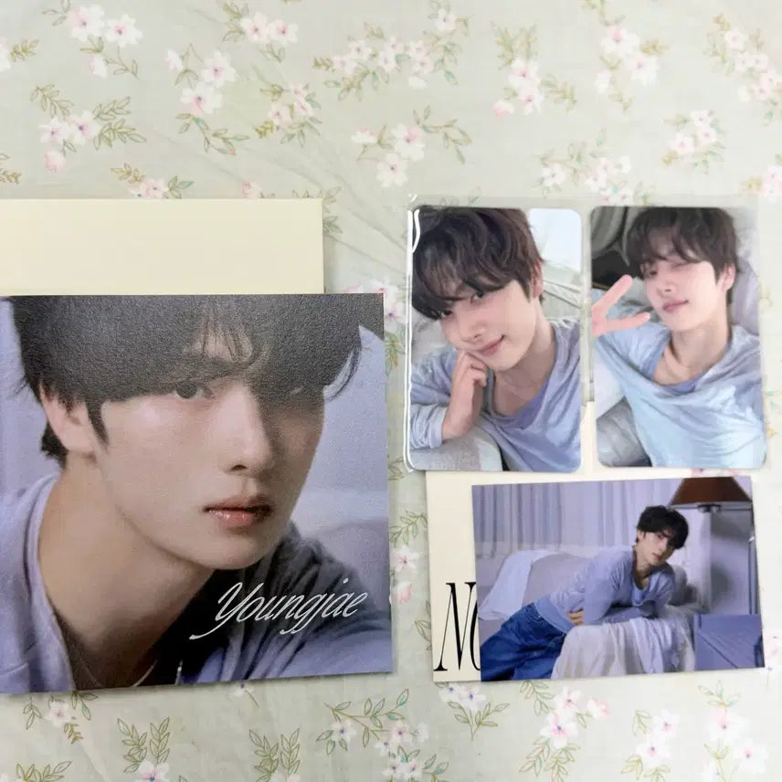 [BUNJANG] TWS 5th Album Youngjae No Tragedy Blush Ver. Photocard Set / 영재 no tragedy blush ver. 투어스 5집