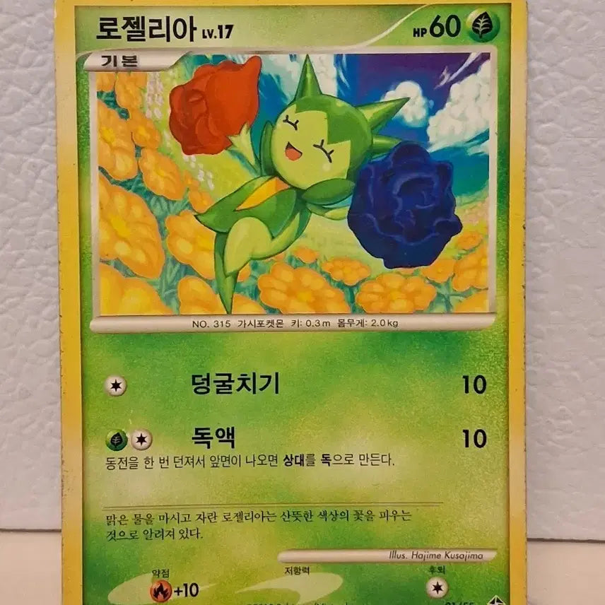 [BUNJANG] Pokemon Card 2010 DP Roselia Single Card / 포켓몬 카드 2010 DP 로젤리아 싱글카드