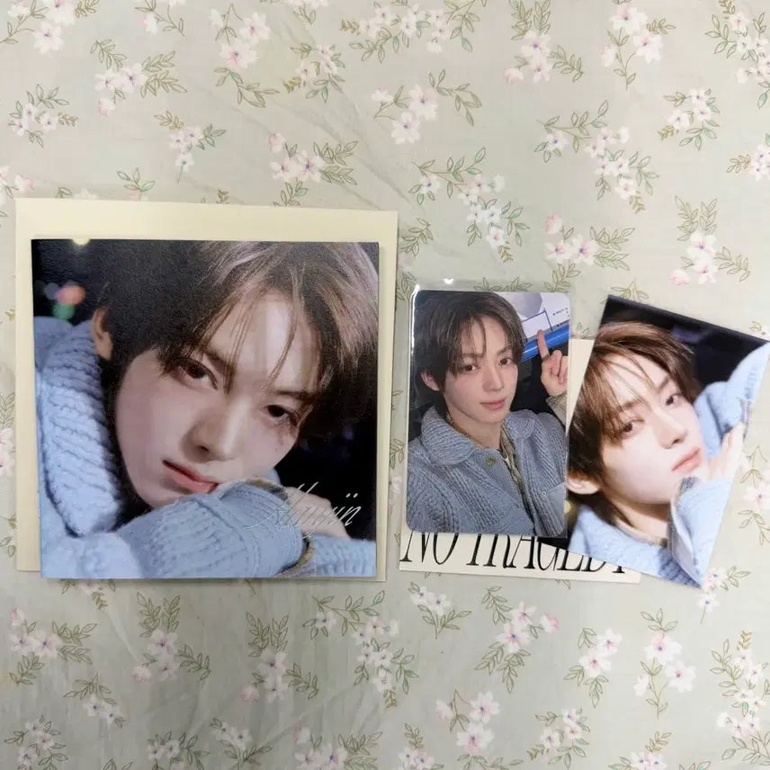 [BUNJANG] TWS 5th Album Hanjin No Tragedy Blush Ver. Photocard / 한진  no tragedy blush ver. 투어스 5집