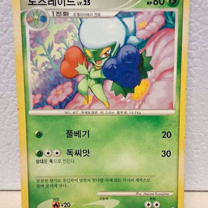 [BUNJANG] Pokemon Card 2010 DP Roserade LV.25 / 포켓몬 카드 2010 DP 로즈레이드 LV.25