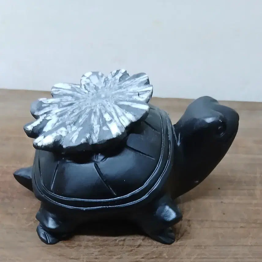 [BUNJANG] Flower Turtle 12*6*8 / 수석 자연수석 꽃거북이