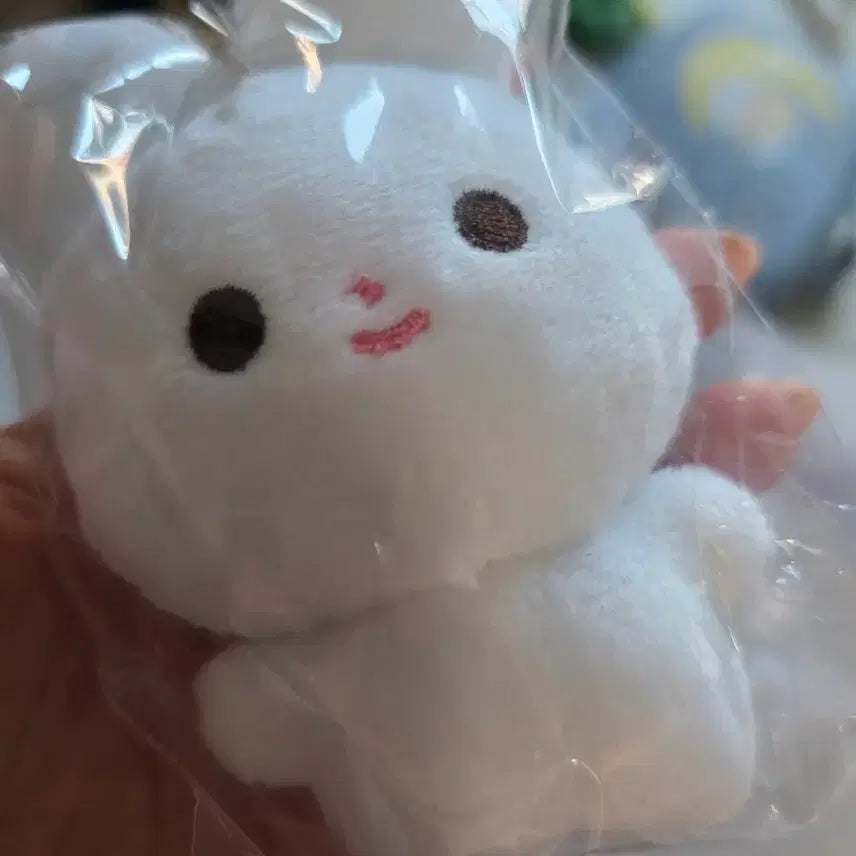 [BUNJANG] NCT Doyoung NCT 127 Plush Doll / 엔시티 도영 nct 127 nct127 일이칠 엔시티 인형 무행이