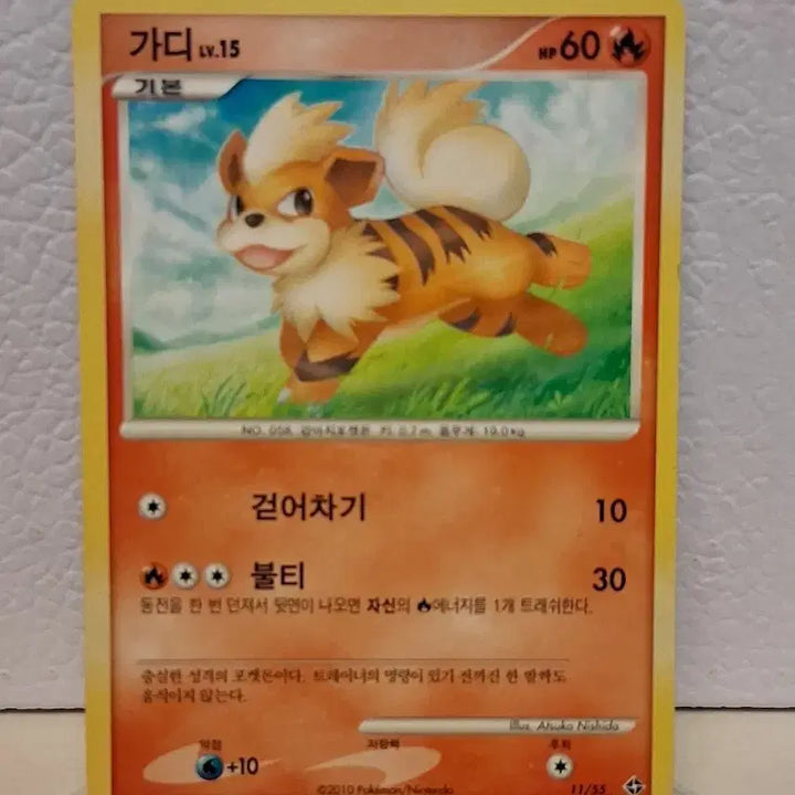 [BUNJANG] Pokemon Card 2010 DP Garde Single Card / 포켓몬 카드 2010 DP 가디 싱글카드