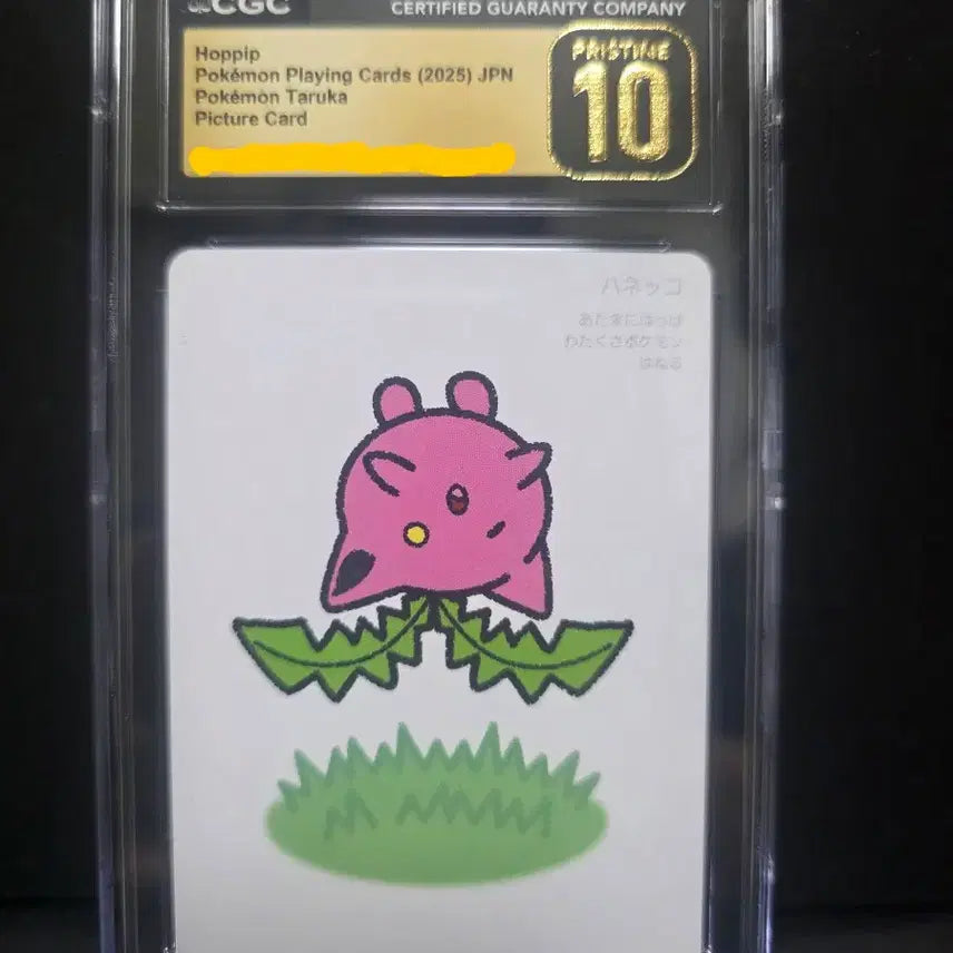 [BUNJANG] Pokemon Card Taruka Tontonko PRISTINE CGC 10 Graded Card / 포켓몬카드 타루카 통통코 PRISTINE CGC 10 등카