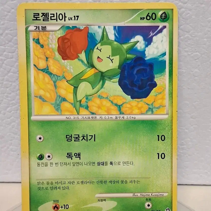 [BUNJANG] Pokemon Card 2010 DP Roselia LV.17 / 포켓몬카드 2010  DP 로젤리아 LV.17